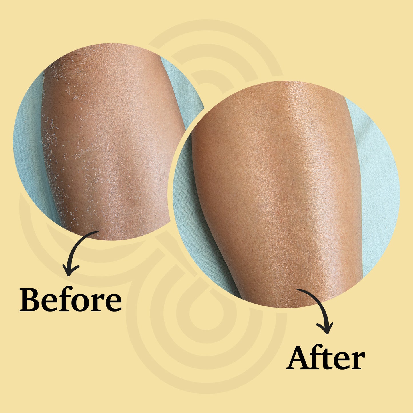 The Melting Balm: Tallow + Rosehip Oil